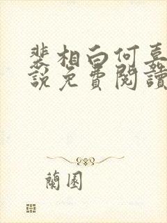 裴相白何嘉柔小说免费阅读