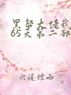 黑帮大佬我的365天第二部