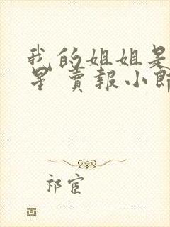 我的姐姐是大明星 卖报小郎君