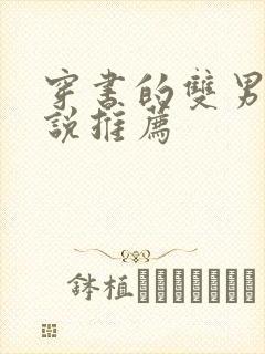 穿书的双男主小说推荐