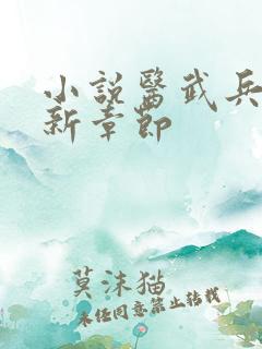 小说医武兵王最新章节