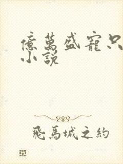 亿万盛宠只为你小说