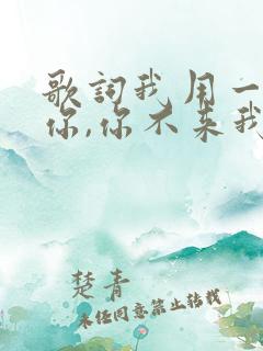 歌词我用一生等你,你不来我不老