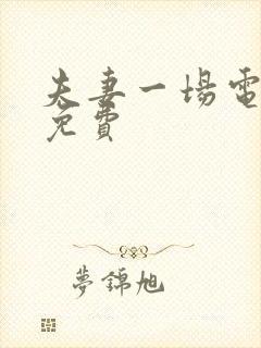 夫妻一场电视剧免费