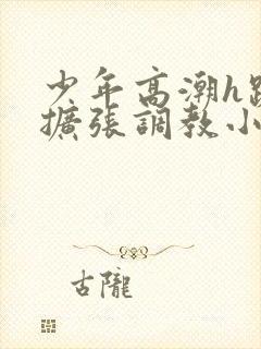 少年高潮h跪趴扩张调教小说