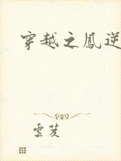 穿越之凤逆天下