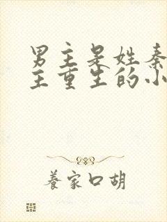 男主是姓秦的女主重生的小说