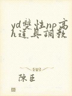 yd双性np高h道具调教