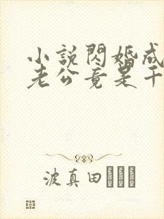 小说闪婚成宠,老公竟是千亿大佬