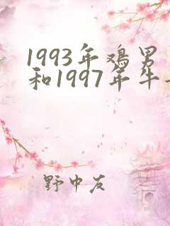 1993年鸡男和1997年牛女婚配