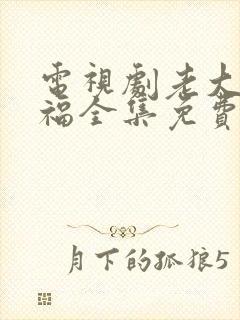 电视剧老大的幸福全集免费观看