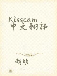 kisscam中文翻译