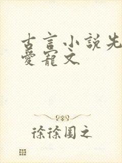 古言小说先婚后爱宠文