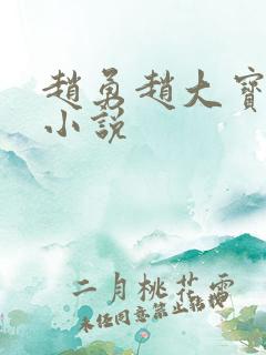 赵勇赵大宝苏媚小说