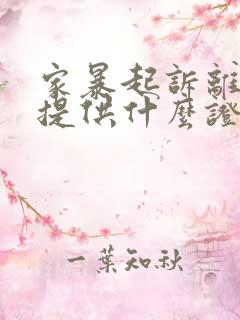 家暴起诉离婚要提供什么证据