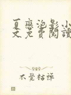 夏恋泡影小说全文免费阅读最新章节