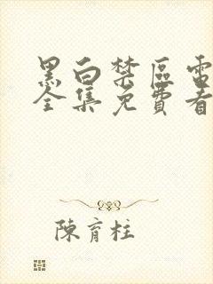 黑白禁区电视剧全集免费看