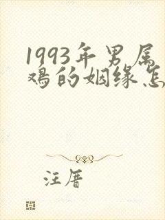 1993年男属鸡的姻缘怎么样
