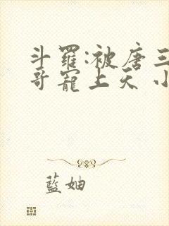 斗罗:被唐三哥哥宠上天 小说完整