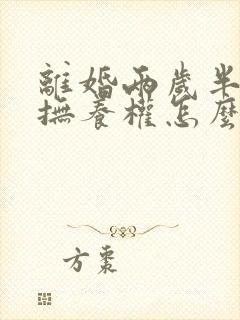 离婚两岁半小孩抚养权怎么判