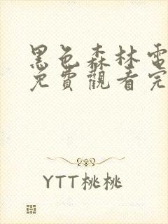 黑色森林电视剧免费观看完整版高清