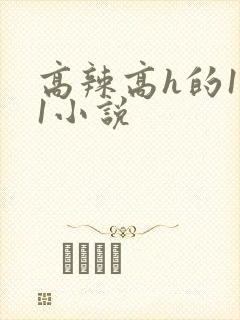 高辣高h的1v1小说