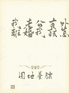 我老公有外遇提离婚我该怎么办