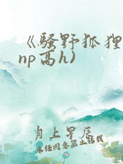 《骚野狐狸精(np高h)