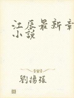 江辰最新章节 小说
