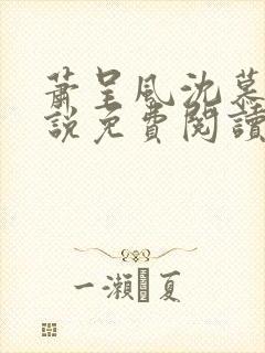 萧呈风沈慕卿小说免费阅读最新章节