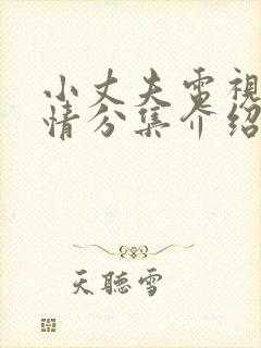 小丈夫电视剧剧情分集介绍