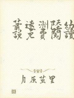 萧远洲陆幼宁小说免费阅读最新章节