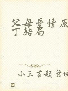 父母爱情原著老丁结局