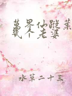 万界仙踪叶星云几个老婆