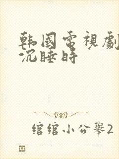 韩国电视剧当你沉睡时