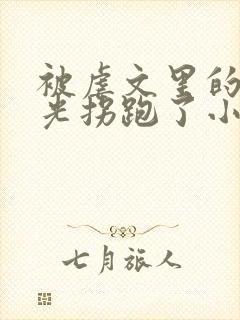 被虐文里的白月光拐跑了小说免费阅读