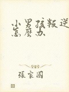 小男孩叛逆期该怎么办