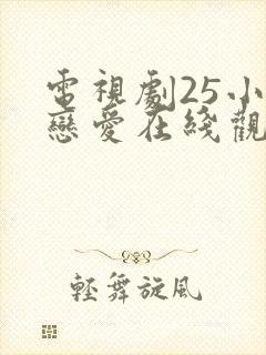 电视剧25小时恋爱在线观看免费全集