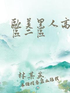 欧美黑人高清一区二区