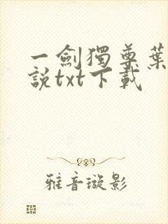 一剑独尊叶玄小说txt下载