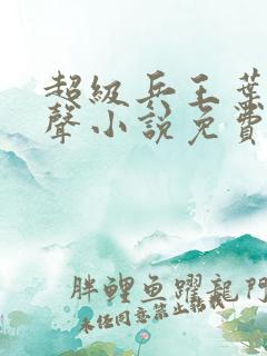 超级兵王叶谦有声小说免费全本完整版