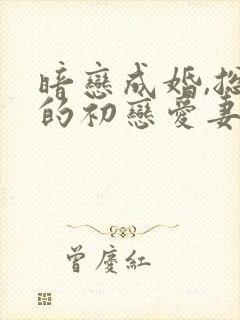 暗恋成婚,总裁的初恋爱妻 小说