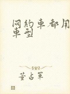 网约车都用什么车型