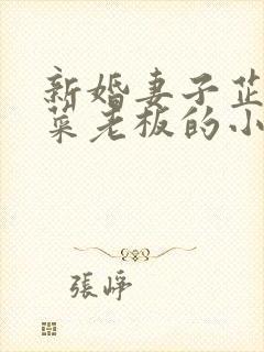 新婚妻子芷姗与菜老板的小说