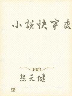 小说快穿爽文