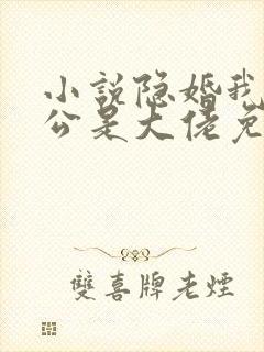 小说隐婚我的老公是大佬免费阅读