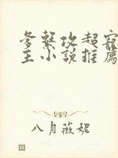 爹系攻超宠双男主小说推荐