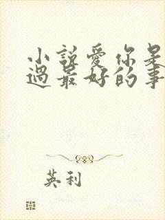 小说爱你是我做过最好的事免费阅读