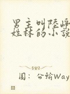 男主叫陆峥女主姓林的小说