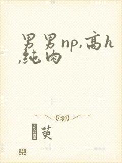 男男np,高h,纯肉